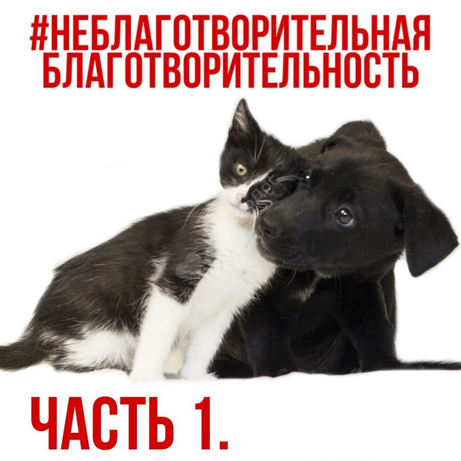 #НеблаготворительнаяБлаготворительность Часть первая. Акции и сборы.