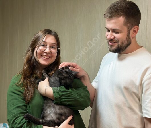 Осирис
