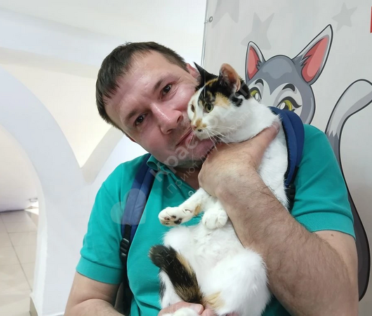 Кусимона