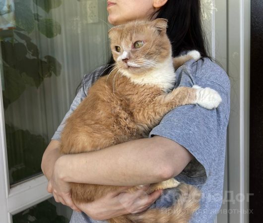 Клумбик