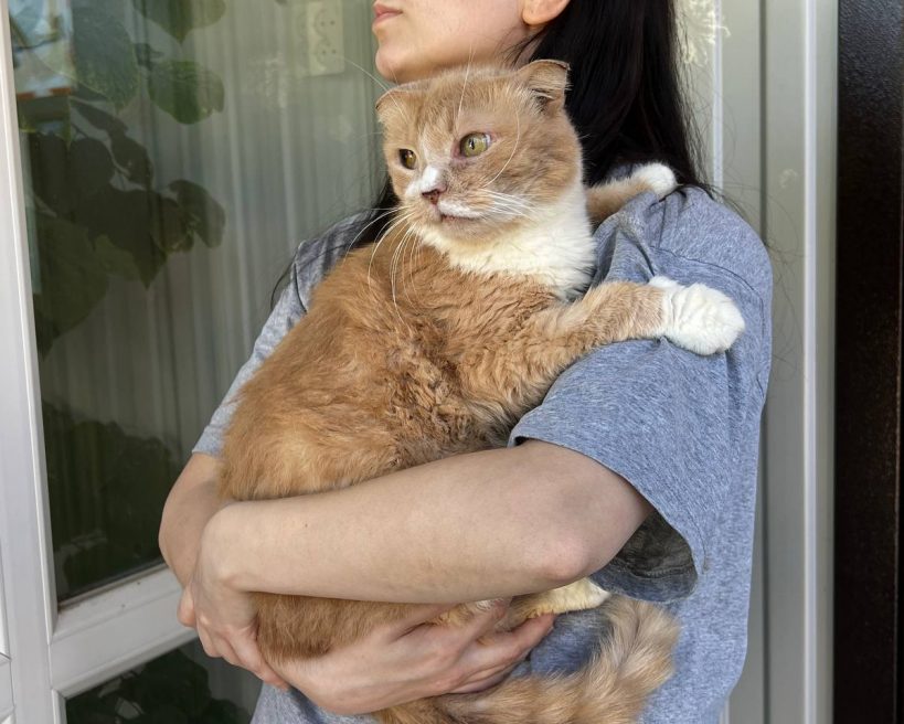 Клумбик