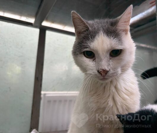 Портер