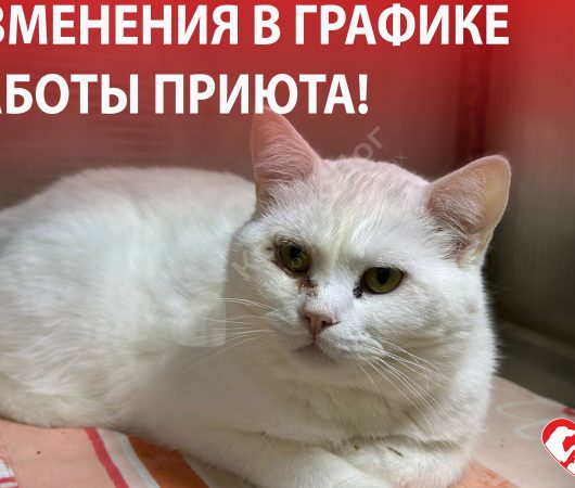 ИЗМЕНЕНИЯ В ГРАФИКЕ РАБОТЫ!!