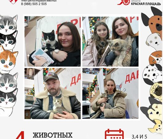 Итоги выставки в Мегацентре 