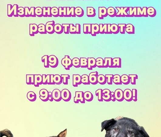 ИЗМЕНЕНИЯ В ГРАФИКЕ РАБОТЫ!