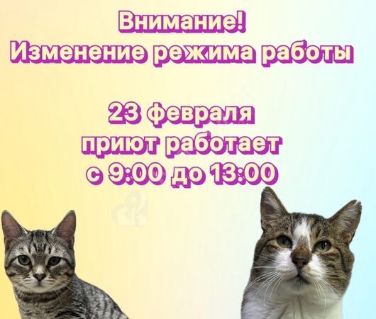 Изменение в графике работы!!