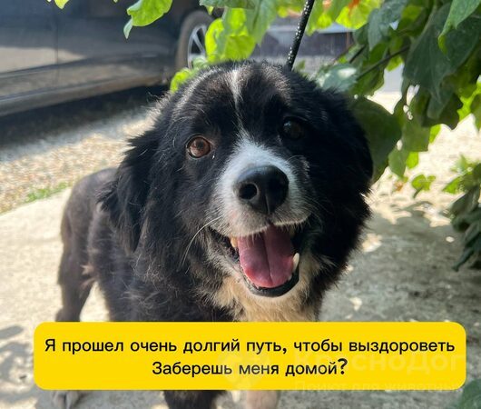 Шурин