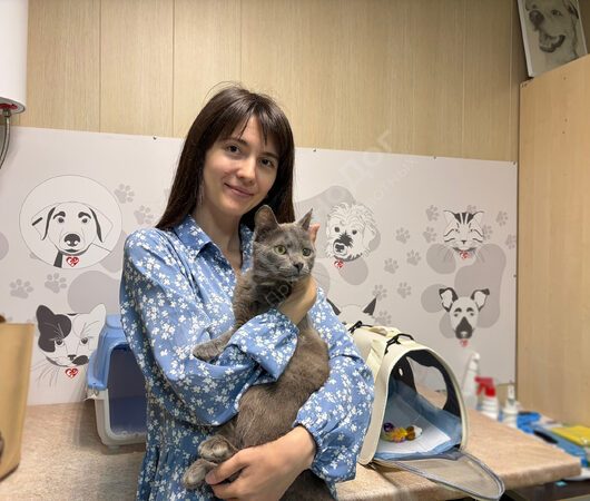 Эстрагон