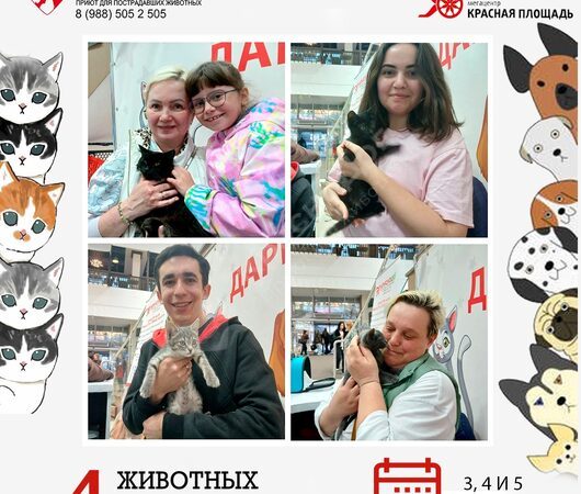 Спешим поделиться итогами выставки в Мегацентре 