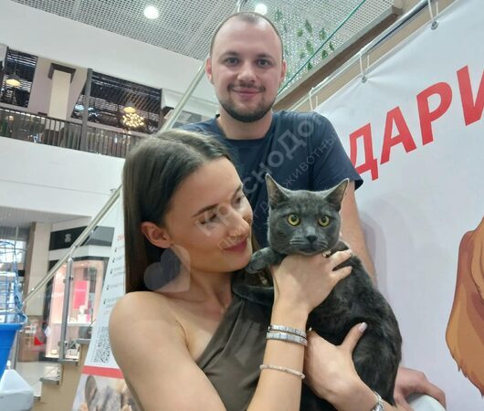 Том
