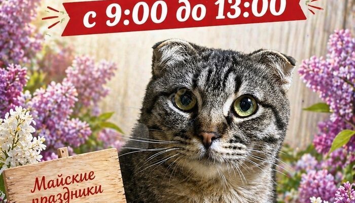 Изменение в режиме работы!