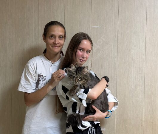 Приморец