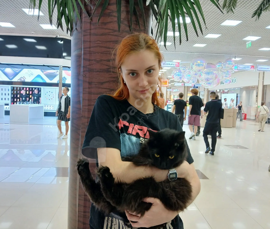 Космос