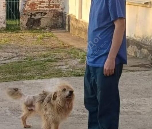 Пожарник