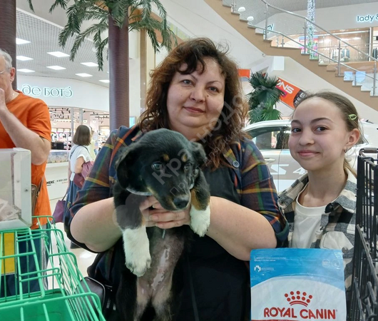 Сфера