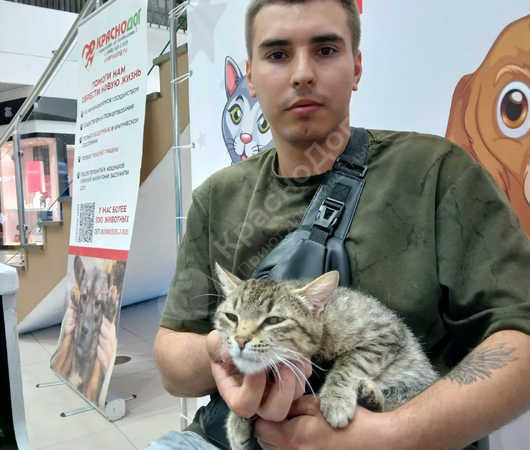Жимолость