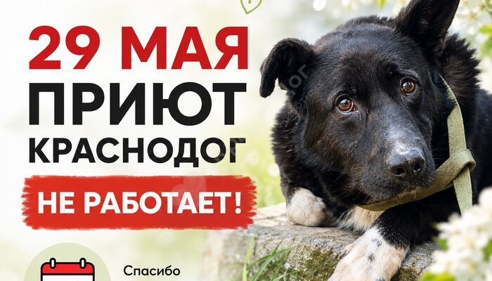 Изменение в режиме работы!