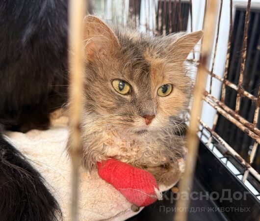Коммунарка