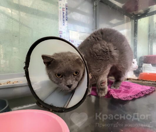 Телескоп