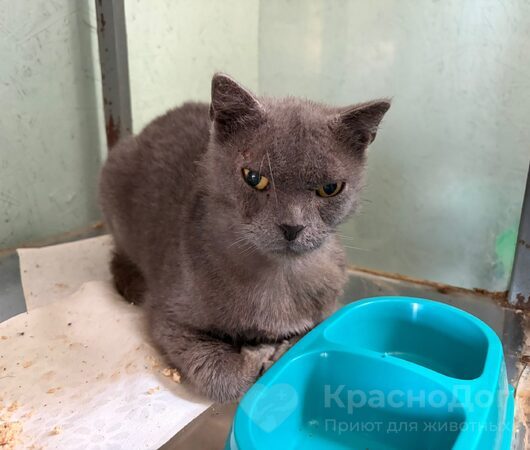 Телескоп