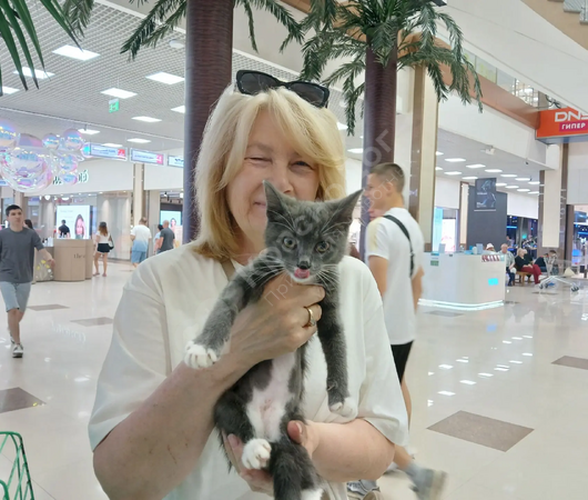 Касса