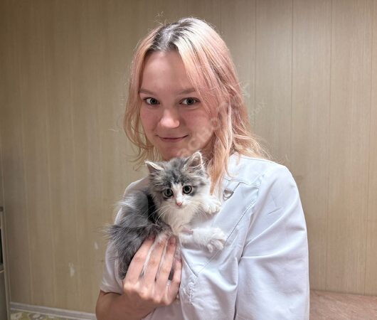Счет