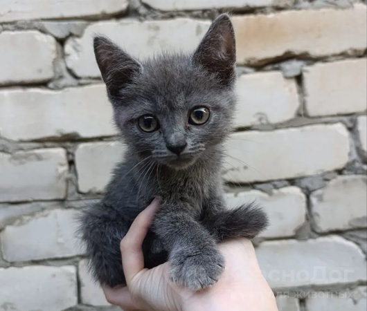 Карта