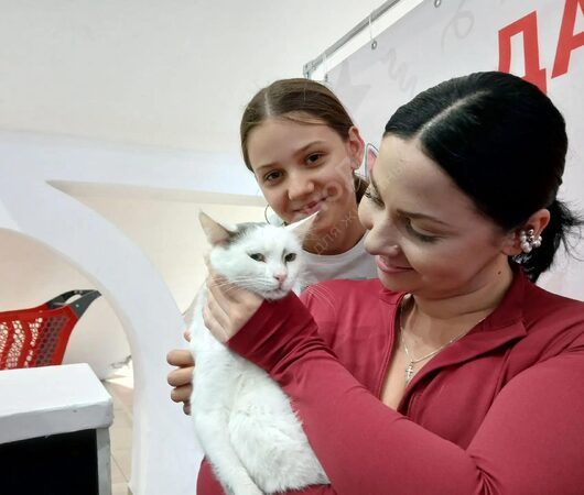 Бельчик