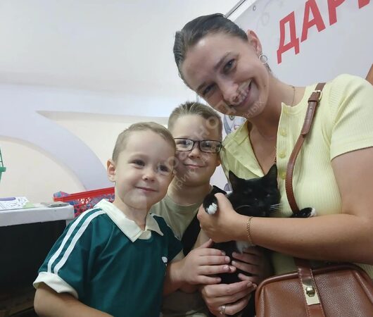 Дарси