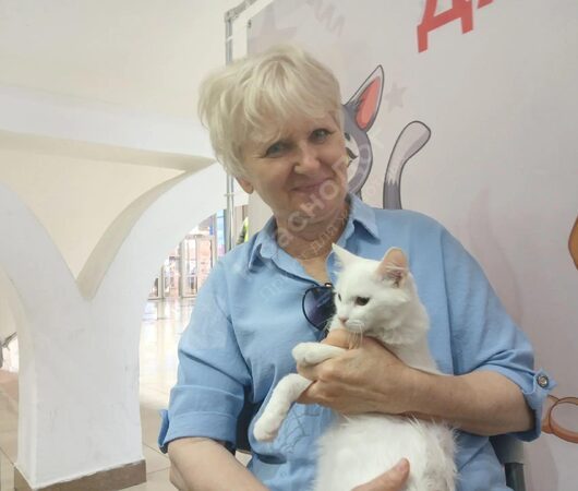 Проплан