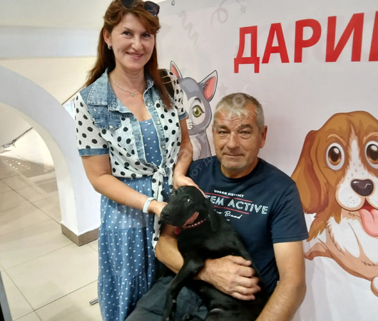 Голлум
