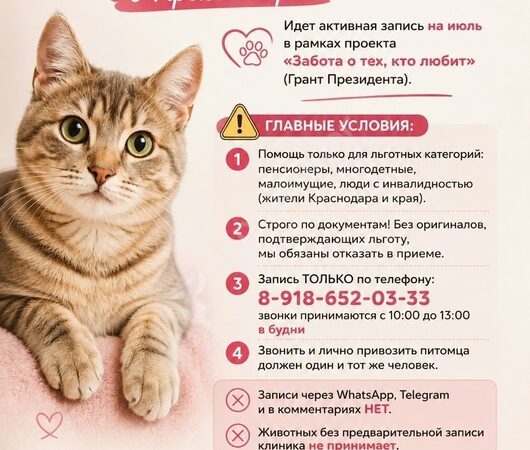 Грант Президента. Проект «Забота о тех, кто любит»