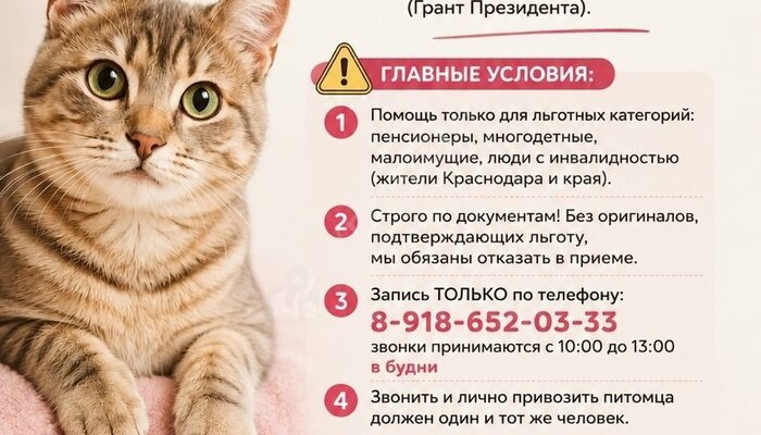 Грант Президента. Проект «Забота о тех, кто любит»