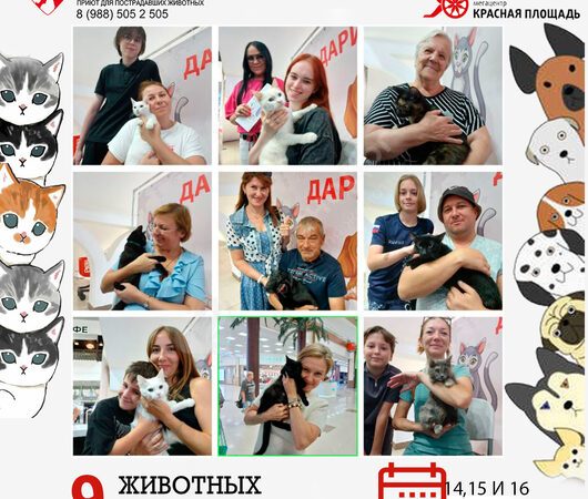 Спешим поделиться итогами выставки в Мегацентре 