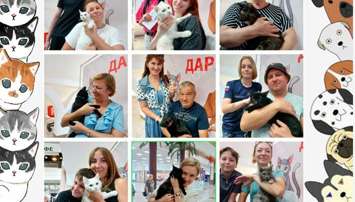 Спешим поделиться итогами выставки в Мегацентре 