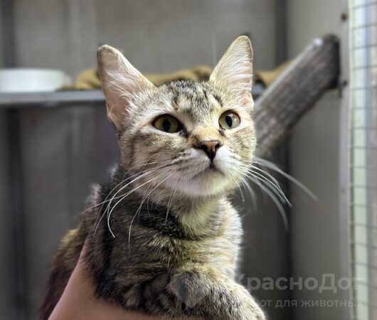 Рилай