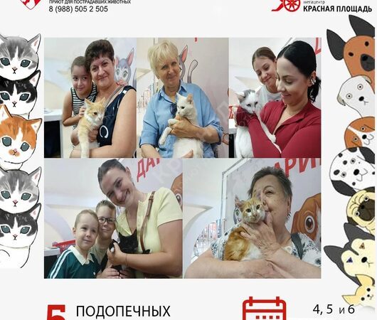 Спешим поделиться итогами выставки в Мегацентре 