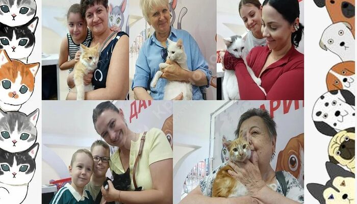 Спешим поделиться итогами выставки в Мегацентре 