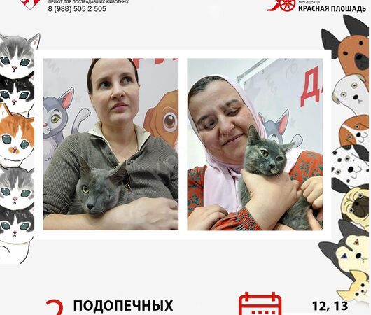 Спешим поделиться итогами выставки в Мегацентре 