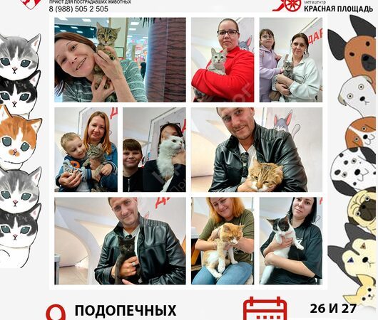 Спешим поделиться итогами выставки в Мегацентре 