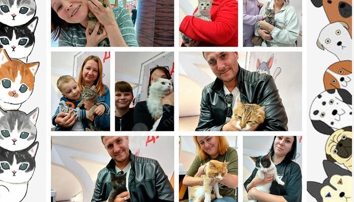 Спешим поделиться итогами выставки в Мегацентре 