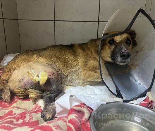 Аксай
