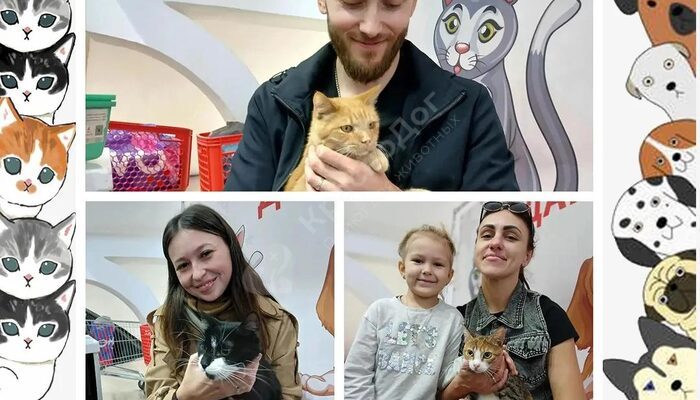 Спешим поделиться итогами выставки в Мегацентре 