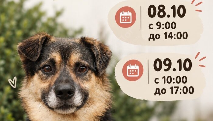 Обратите внимание! Изменения в режиме работы!