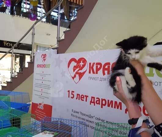 Выставка в Мегацентре Красная площадь 04-06 октября.