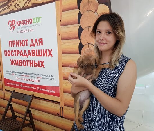 Выставка в ТЦ OZ Молл 05-06 октября.