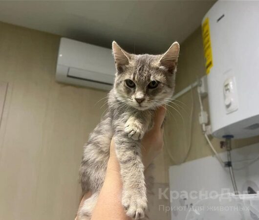 Эраклион