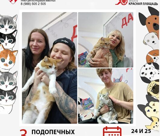 Спешим поделиться итогами выставки в Мегацентре 