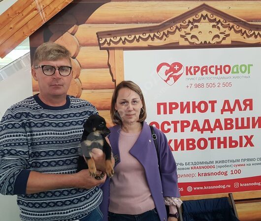 Выставка в ТЦ OZ Молл 12-13 октября.