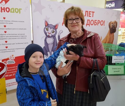 Итоги выставки в мегацентре 